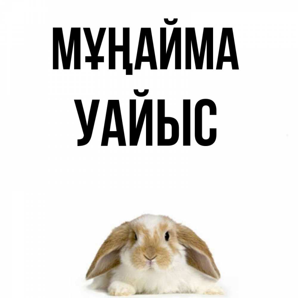 Күн сайын ашық хат с именем, УАЙЫС Мұңайма коричнево белый заяц с большими ушками Онлайн тегін жүктеп алу тілектері бар керемет карта 