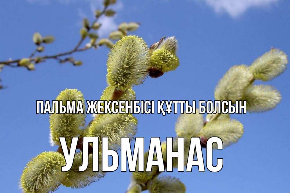 Күн сайын ашық хат с именем, Ульманас Пальма жексенбісі құтты болсын верба Онлайн тегін жүктеп алу тілектері бар керемет карта 