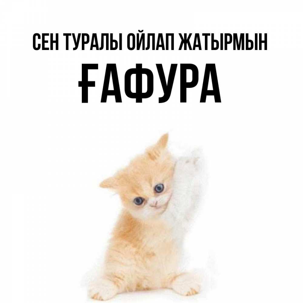 Күн сайын ашық хат с именем, ҒАФУРА Сен туралы ойлап жатырмын зверушки и милота Онлайн тегін жүктеп алу тілектері бар керемет карта 