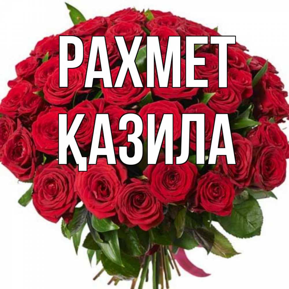 Күн сайын ашық хат с именем, ҚАЗИЛА рахмет букет красных роз Онлайн тегін жүктеп алу тілектері бар керемет карта 