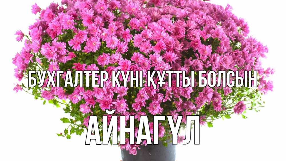Күн сайын ашық хат с именем, АЙНАГҮЛ бухгалтер күні құтты болсын с днем бухгалтера Онлайн тегін жүктеп алу тілектері бар керемет карта 
