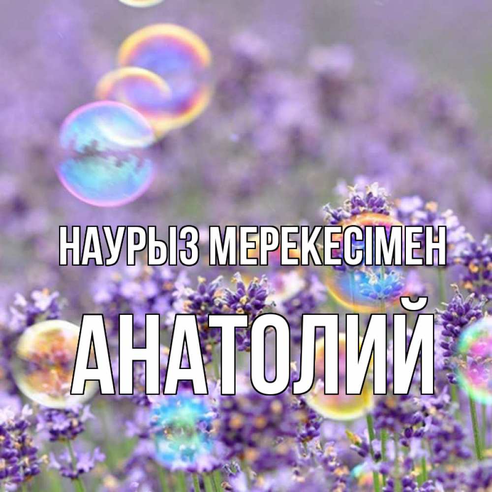 Күн сайын ашық хат с именем, Анатолий Наурыз мерекесімен цветы Онлайн тегін жүктеп алу тілектері бар керемет карта 