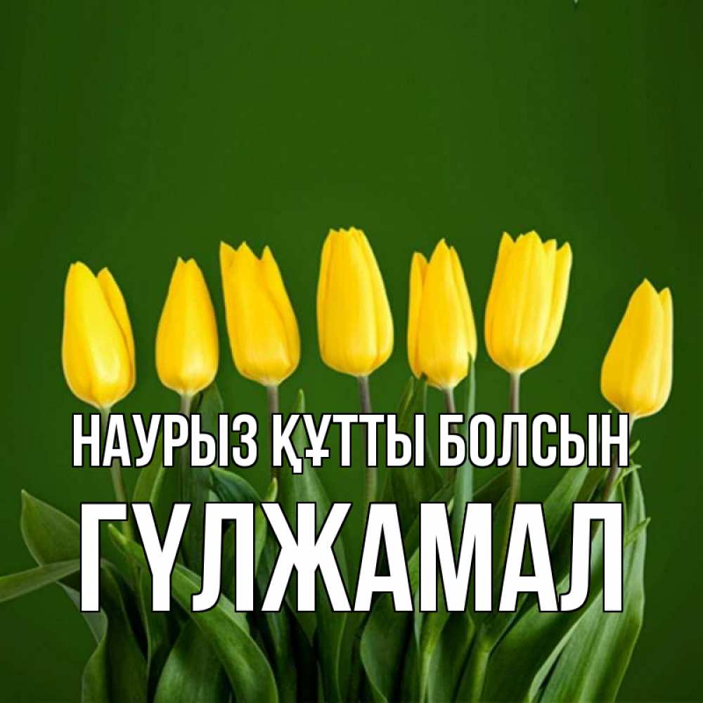 Күн сайын ашық хат с именем, ГҮЛЖАМАЛ Наурыз құтты болсын желтого цвета 3 Онлайн тегін жүктеп алу тілектері бар керемет карта 