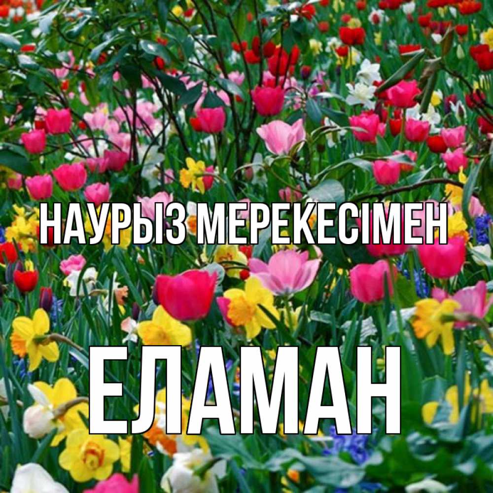 Күн сайын ашық хат с именем, Еламан Наурыз мерекесімен с наурызом праздником весны поздравления для женщины Онлайн тегін жүктеп алу тілектері бар керемет карта 