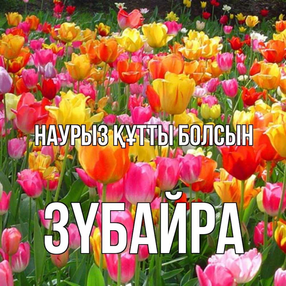 Күн сайын ашық хат с именем, ЗҮБАЙРА Наурыз құтты болсын на наурыз  ура ура Онлайн тегін жүктеп алу тілектері бар керемет карта 
