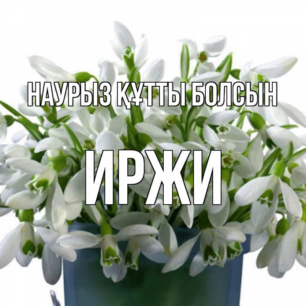 Күн сайын ашық хат с именем, Иржи Наурыз құтты болсын цветы к наурызу Онлайн тегін жүктеп алу тілектері бар керемет карта 