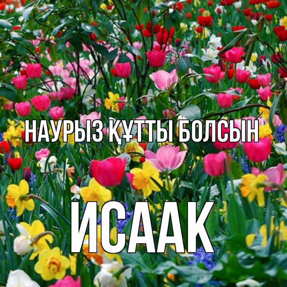 Күн сайын ашық хат с именем, Исаак Наурыз құтты болсын с наурызом поздравления для женщины Онлайн тегін жүктеп алу тілектері бар керемет карта 