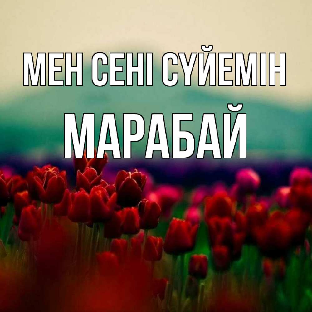 Күн сайын ашық хат с именем, МАРАБАЙ Мен сені сүйемін тюльпаны 4 Онлайн тегін жүктеп алу тілектері бар керемет карта 