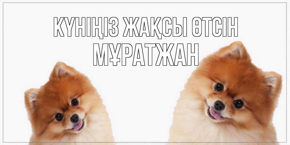 Күн сайын ашық хат с именем, Мұратжан Күніңіз жақсы өтсін собачки желают прекрасного дня Онлайн тегін жүктеп алу тілектері бар керемет карта 