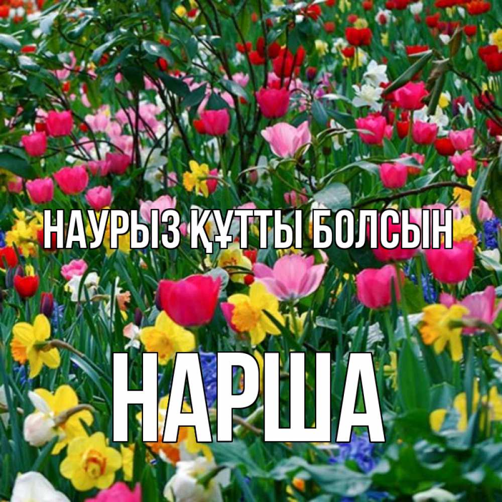 Күн сайын ашық хат с именем, НАРША Наурыз құтты болсын с наурызом поздравления для женщины Онлайн тегін жүктеп алу тілектері бар керемет карта 