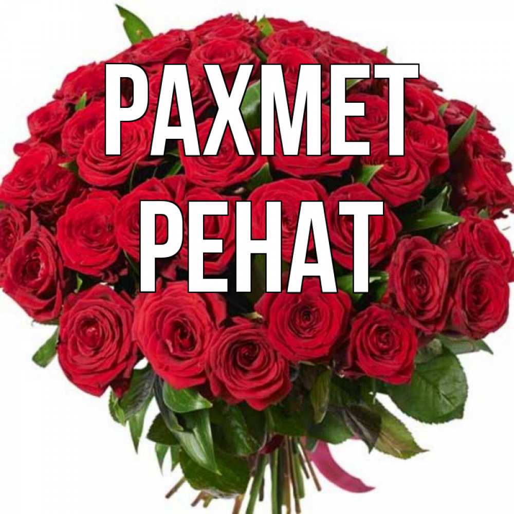 Күн сайын ашық хат с именем, РЕНАТ рахмет букет красных роз Онлайн тегін жүктеп алу тілектері бар керемет карта 
