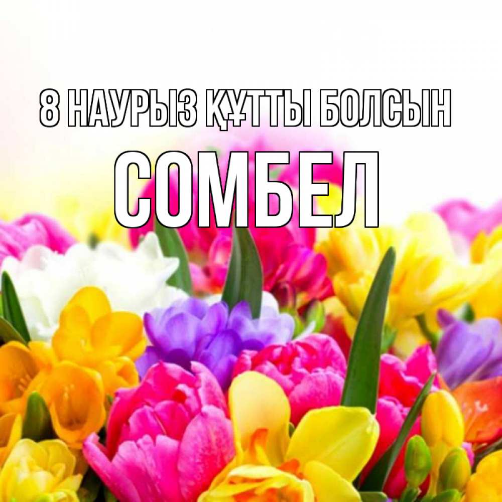Күн сайын ашық хат с именем, СОМБЕЛ 8 наурыз құтты болсын тюльпаны Онлайн тегін жүктеп алу тілектері бар керемет карта 