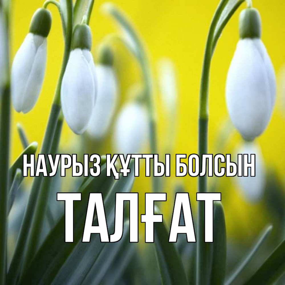 Күн сайын ашық хат с именем, ТАЛҒАТ Наурыз құтты болсын весенние цветы Онлайн тегін жүктеп алу тілектері бар керемет карта 