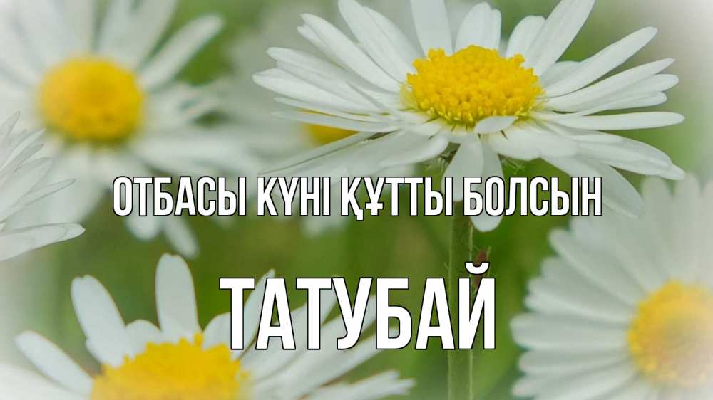 Күн сайын ашық хат с именем, ТАТУБАЙ отбасы күні құтты болсын с днем семьи  1 Онлайн тегін жүктеп алу тілектері бар керемет карта 