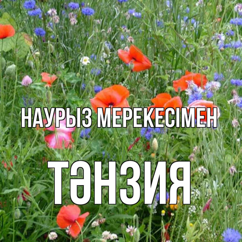 Күн сайын ашық хат с именем, ТӘНЗИЯ Наурыз мерекесімен праздник весны наурыз супер открытка Онлайн тегін жүктеп алу тілектері бар керемет карта 