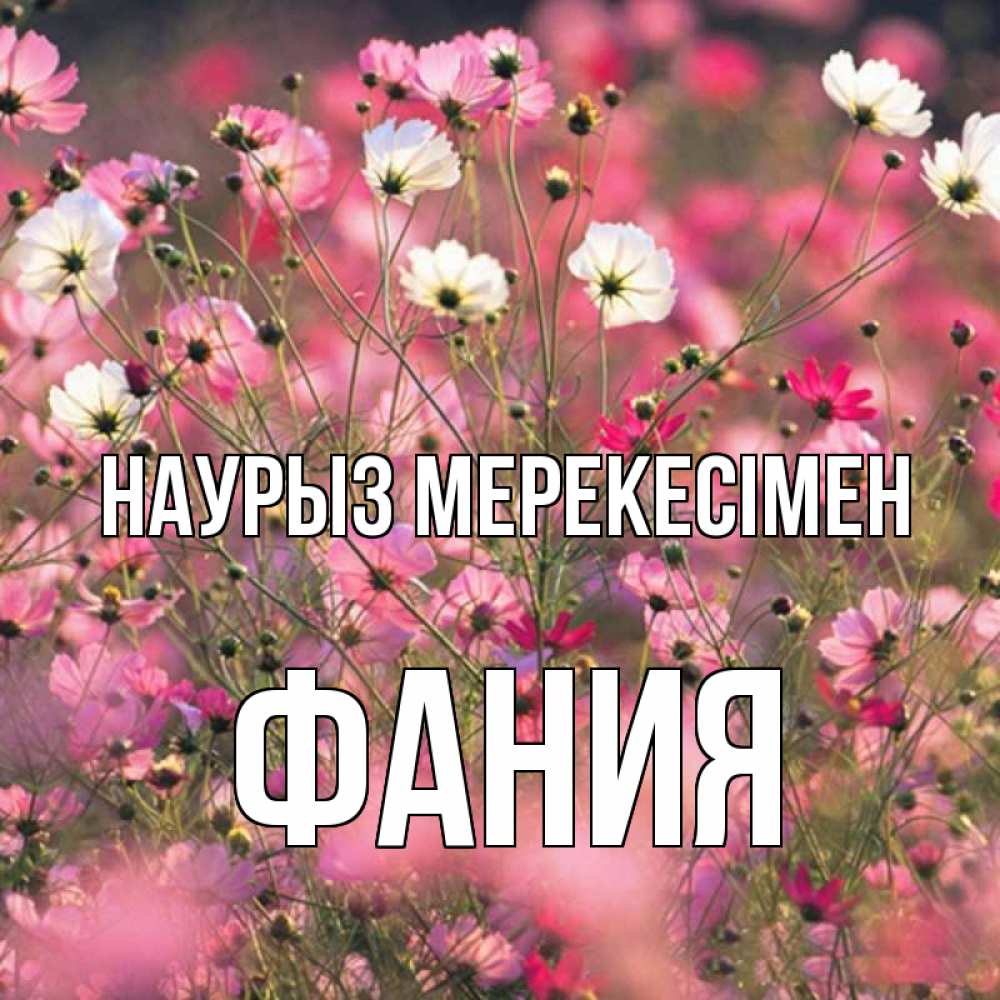 Күн сайын ашық хат с именем, Фания Наурыз мерекесімен красиво 1 Онлайн тегін жүктеп алу тілектері бар керемет карта 