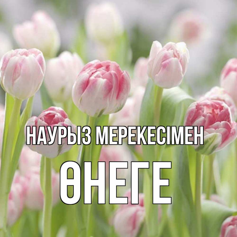Күн сайын ашық хат с именем, ӨНЕГЕ Наурыз мерекесімен цветы Онлайн тегін жүктеп алу тілектері бар керемет карта 