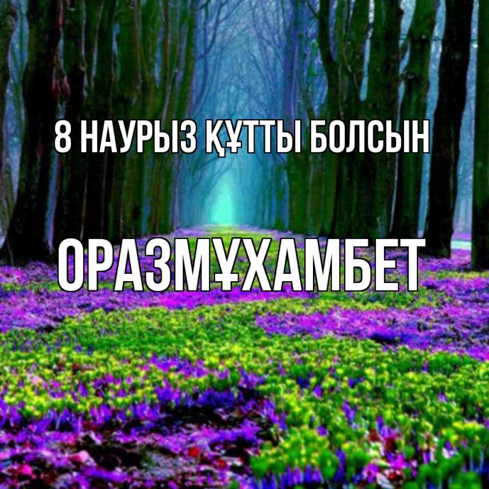 Күн сайын ашық хат с именем, ОРАЗМҰХАМБЕТ 8 наурыз құтты болсын фиолетовые цветы в лесу 1 Онлайн тегін жүктеп алу тілектері бар керемет карта 