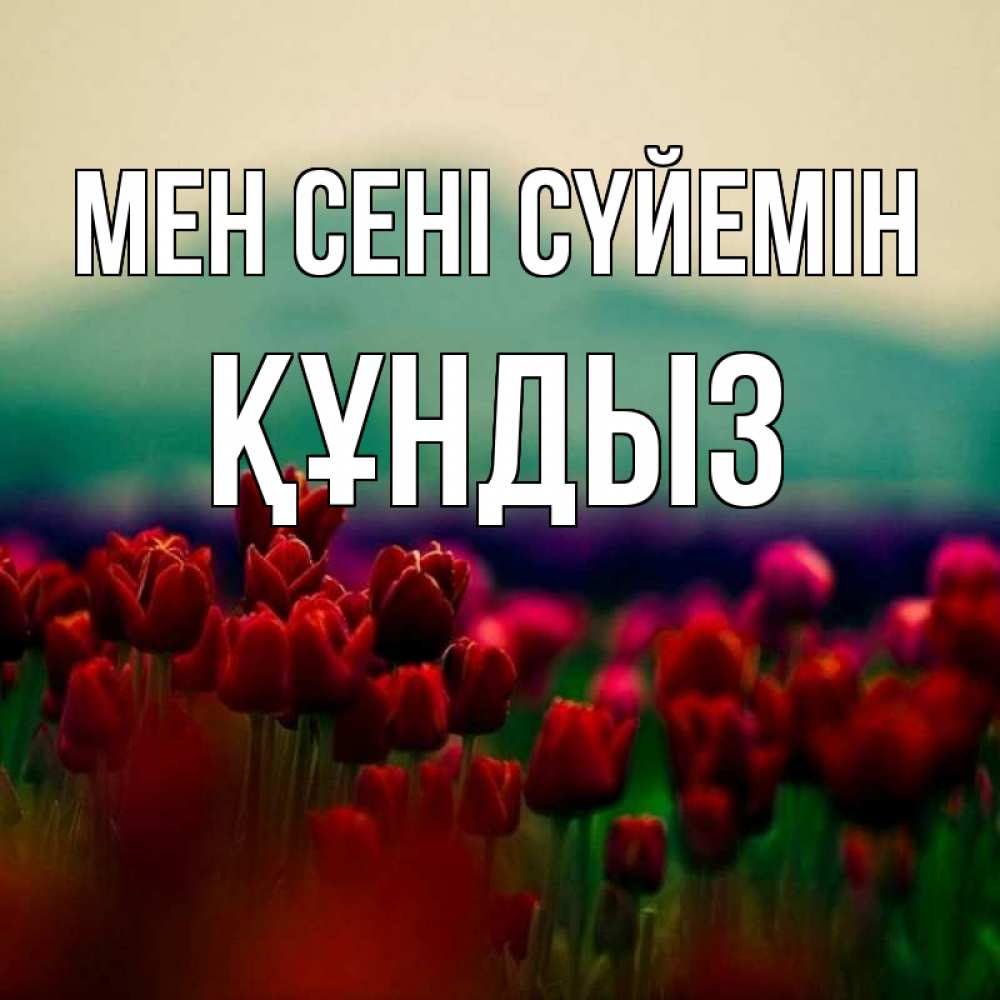 Күн сайын ашық хат с именем, ҚҰНДЫЗ Мен сені сүйемін тюльпаны 4 Онлайн тегін жүктеп алу тілектері бар керемет карта 