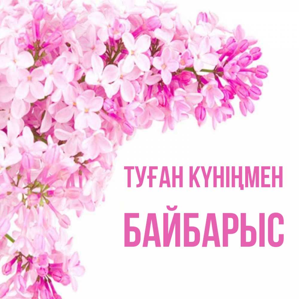 Күн сайын ашық хат с именем, Байбарыс Туған күніңмен Сирень на белом фоне Онлайн тегін жүктеп алу тілектері бар керемет карта 