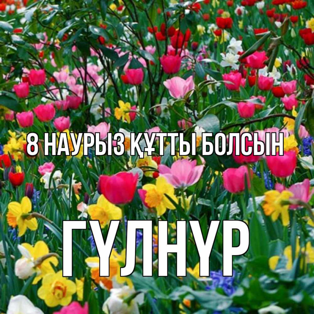 Күн сайын ашық хат с именем, ГҮЛНҮР 8 наурыз құтты болсын с международным женским днем поздравления для женщины Онлайн тегін жүктеп алу тілектері бар керемет карта 