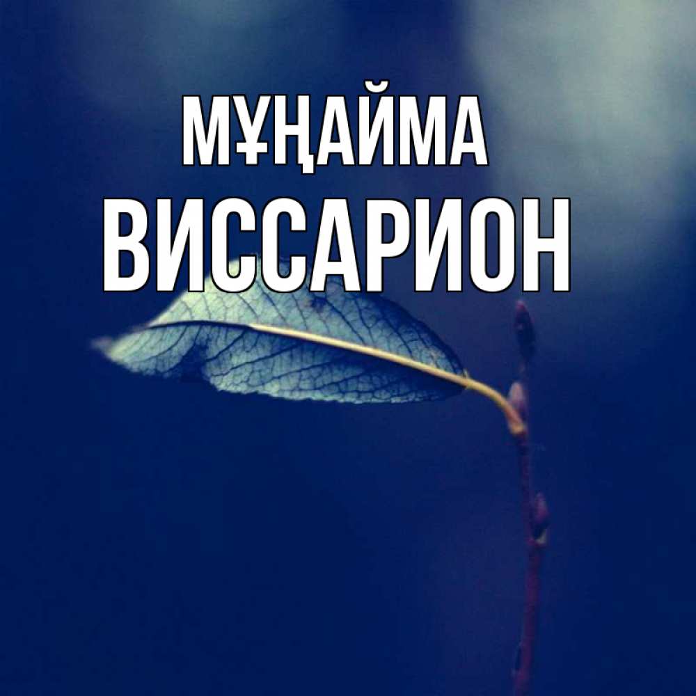 Күн сайын ашық хат с именем, Виссарион Мұңайма растение Онлайн тегін жүктеп алу тілектері бар керемет карта 