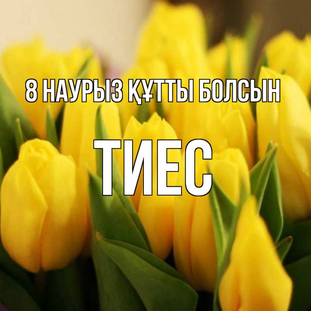 Күн сайын ашық хат с именем, ТИЕС 8 наурыз құтты болсын цветы Онлайн тегін жүктеп алу тілектері бар керемет карта 