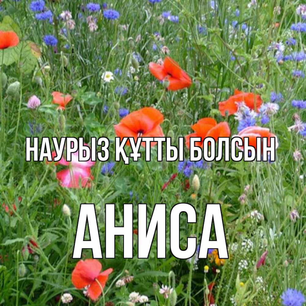 Күн сайын ашық хат с именем, АНИСА Наурыз құтты болсын наурыз  4 Онлайн тегін жүктеп алу тілектері бар керемет карта 