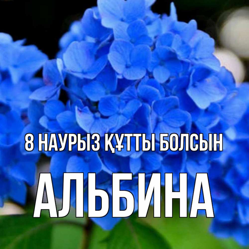Күн сайын ашық хат с именем, Альбина 8 наурыз құтты болсын синие цветы Онлайн тегін жүктеп алу тілектері бар керемет карта 