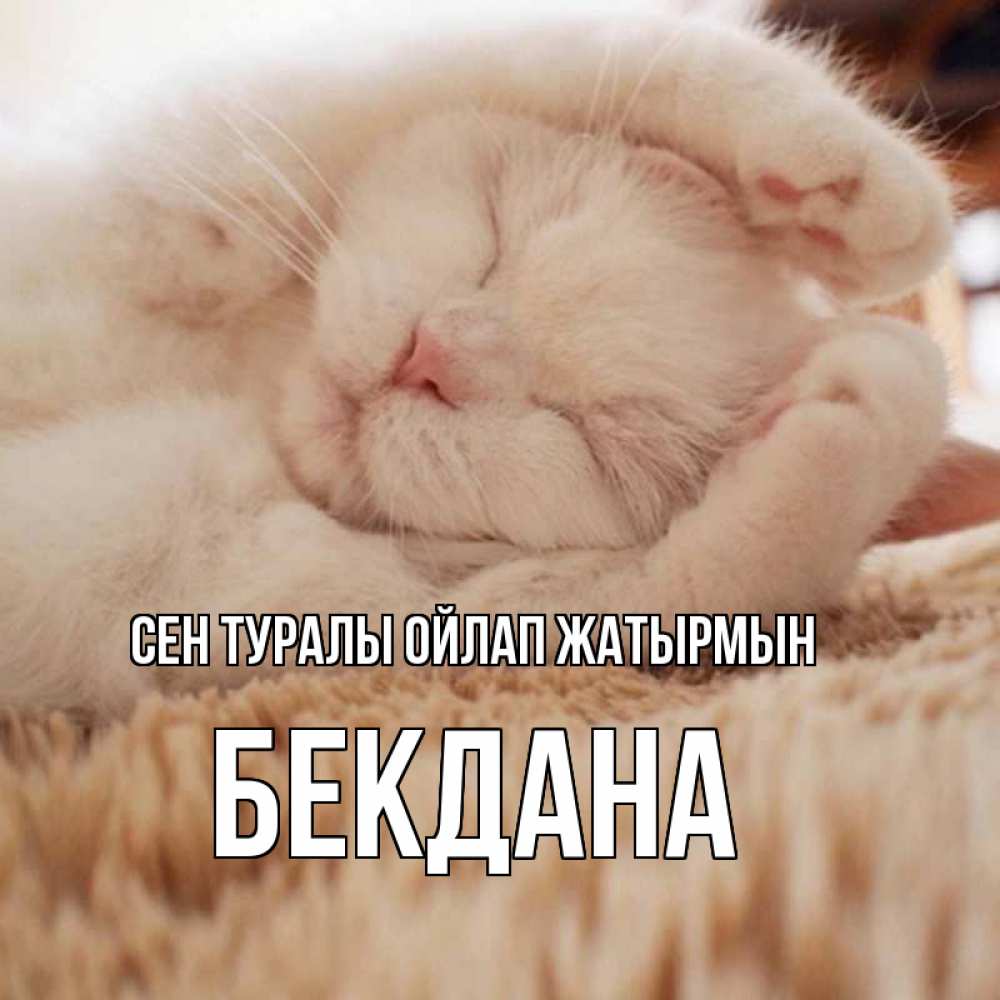 Күн сайын ашық хат с именем, БЕКДАНА Сен туралы ойлап жатырмын для любимой девушки милота Онлайн тегін жүктеп алу тілектері бар керемет карта 