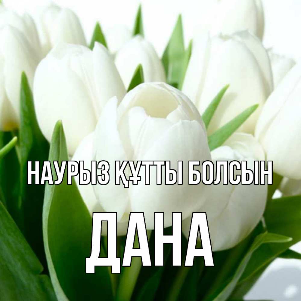 Күн сайын ашық хат с именем, ДАНА Наурыз құтты болсын цветы Онлайн тегін жүктеп алу тілектері бар керемет карта 