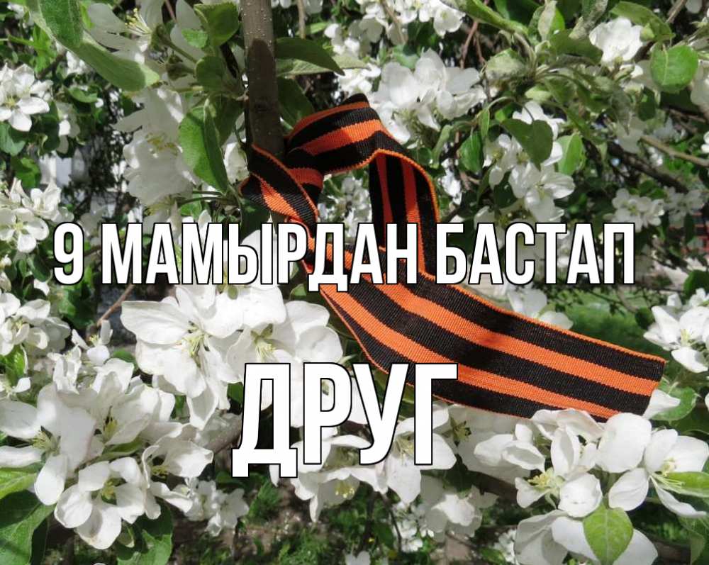 Күн сайын ашық хат с именем, Друг 9 мамырдан бастап 9 мая Онлайн тегін жүктеп алу тілектері бар керемет карта 