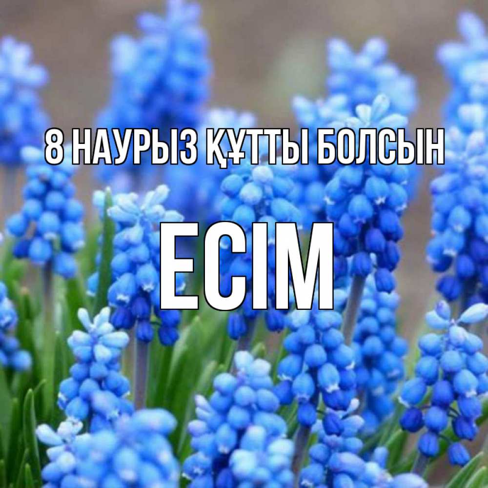 Күн сайын ашық хат с именем, Есім 8 наурыз құтты болсын Поздравительная открытка для женщин с цветами на праздничную дату Онлайн тегін жүктеп алу тілектері бар керемет карта 