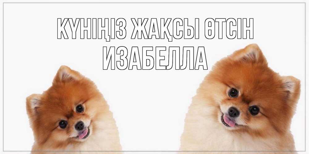 Күн сайын ашық хат с именем, Изабелла Күніңіз жақсы өтсін собачки желают прекрасного дня Онлайн тегін жүктеп алу тілектері бар керемет карта 