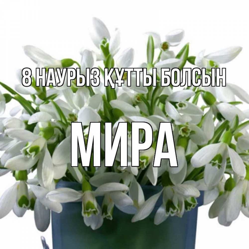 Күн сайын ашық хат с именем, МИРА 8 наурыз құтты болсын цветы к международному женскому дню Онлайн тегін жүктеп алу тілектері бар керемет карта 