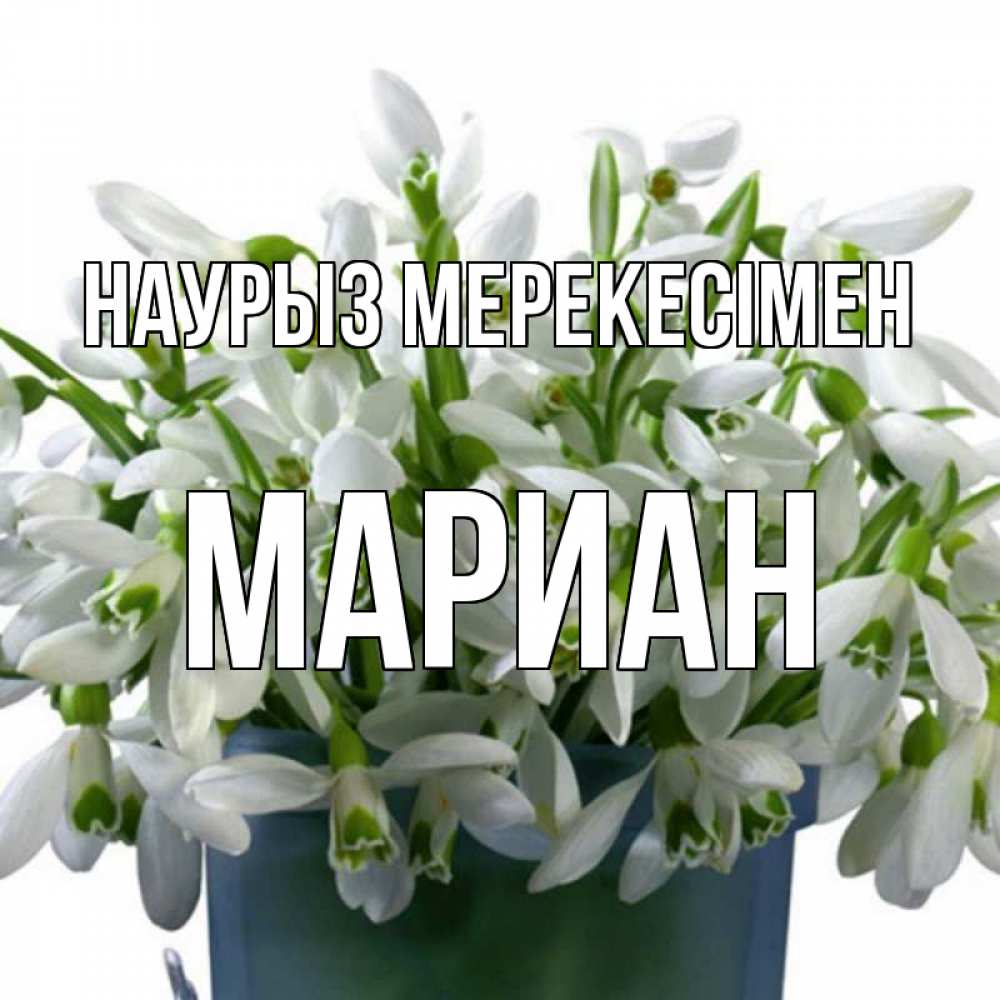 Күн сайын ашық хат с именем, Мариан Наурыз мерекесімен цветы к наурызу новый год в Казахстане Онлайн тегін жүктеп алу тілектері бар керемет карта 