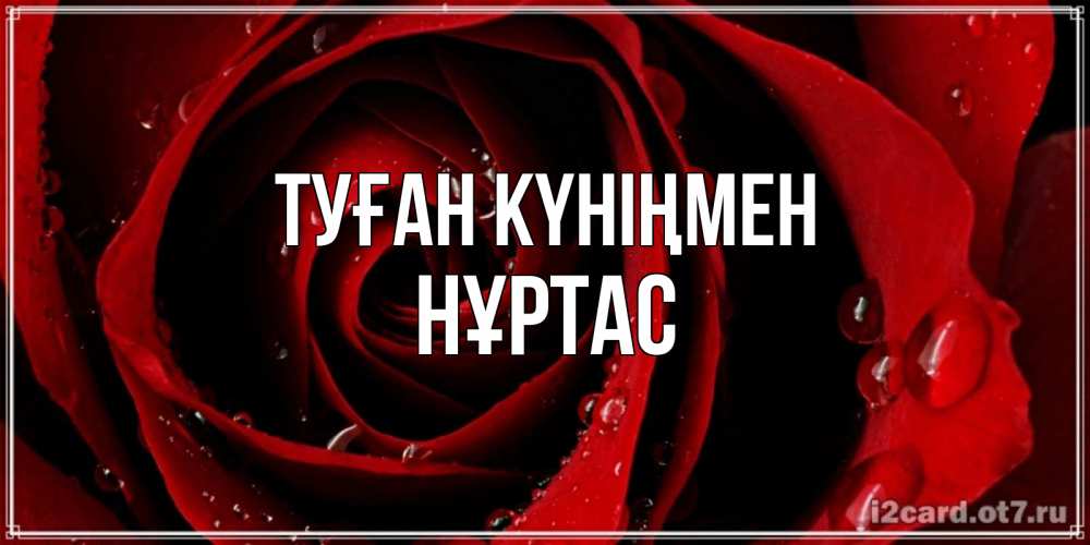 Күн сайын ашық хат с именем, НҰРТАС Туған күніңмен крупная бордовая роза Онлайн тегін жүктеп алу тілектері бар керемет карта 