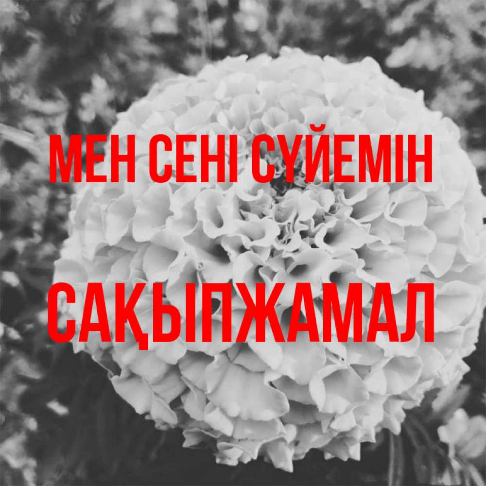 Күн сайын ашық хат с именем, САҚЫПЖАМАЛ Мен сені сүйемін подпись Онлайн тегін жүктеп алу тілектері бар керемет карта 