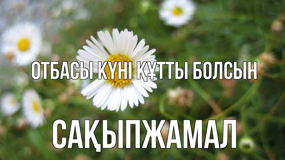 Күн сайын ашық хат с именем, САҚЫПЖАМАЛ отбасы күні құтты болсын с днем семьи Онлайн тегін жүктеп алу тілектері бар керемет карта 