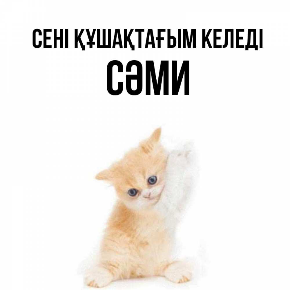 Күн сайын ашық хат с именем, СӘМИ сені құшақтағым келеді я хочу очень скорее обнимаешек Онлайн тегін жүктеп алу тілектері бар керемет карта 