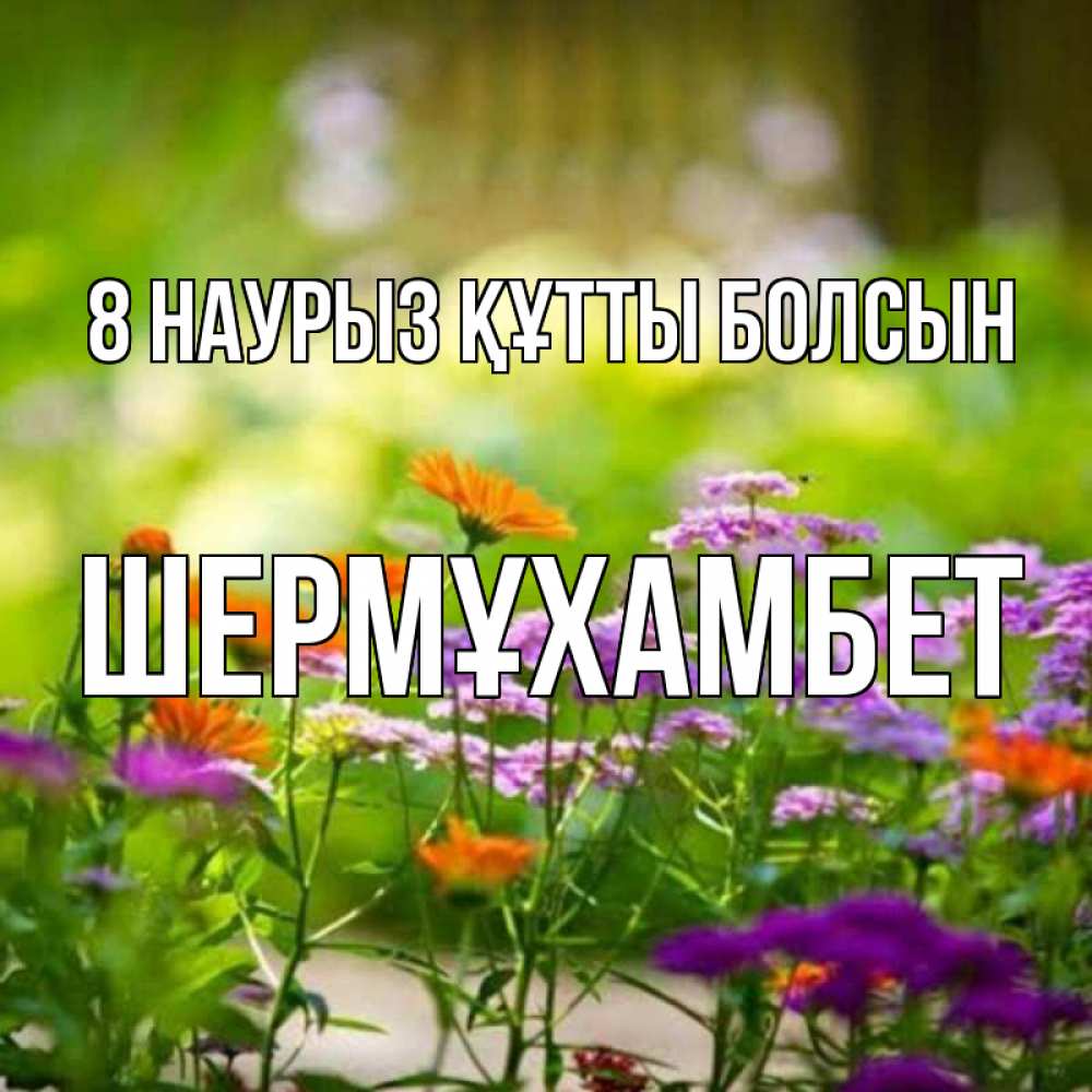 Күн сайын ашық хат с именем, ШЕРМҰХАМБЕТ 8 наурыз құтты болсын цветы Онлайн тегін жүктеп алу тілектері бар керемет карта 