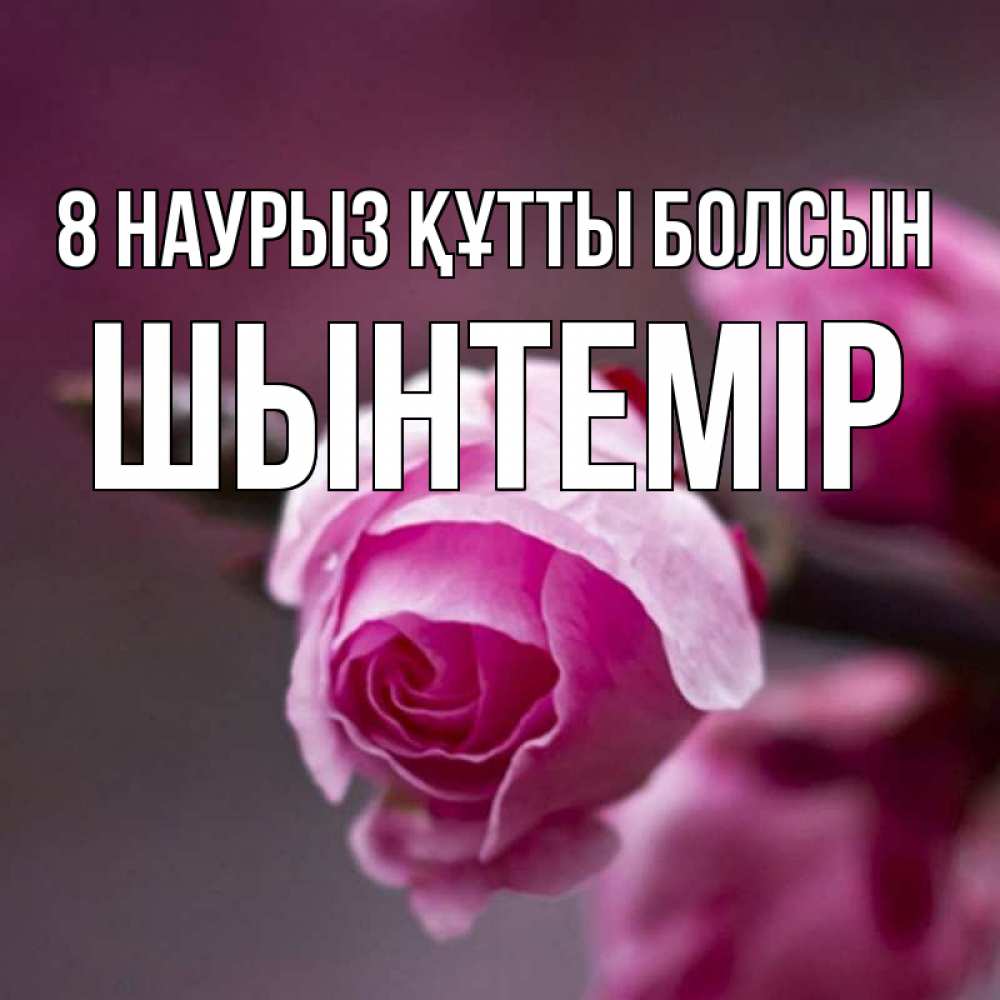 Күн сайын ашық хат с именем, ШЫНТЕМІР 8 наурыз құтты болсын весна Онлайн тегін жүктеп алу тілектері бар керемет карта 