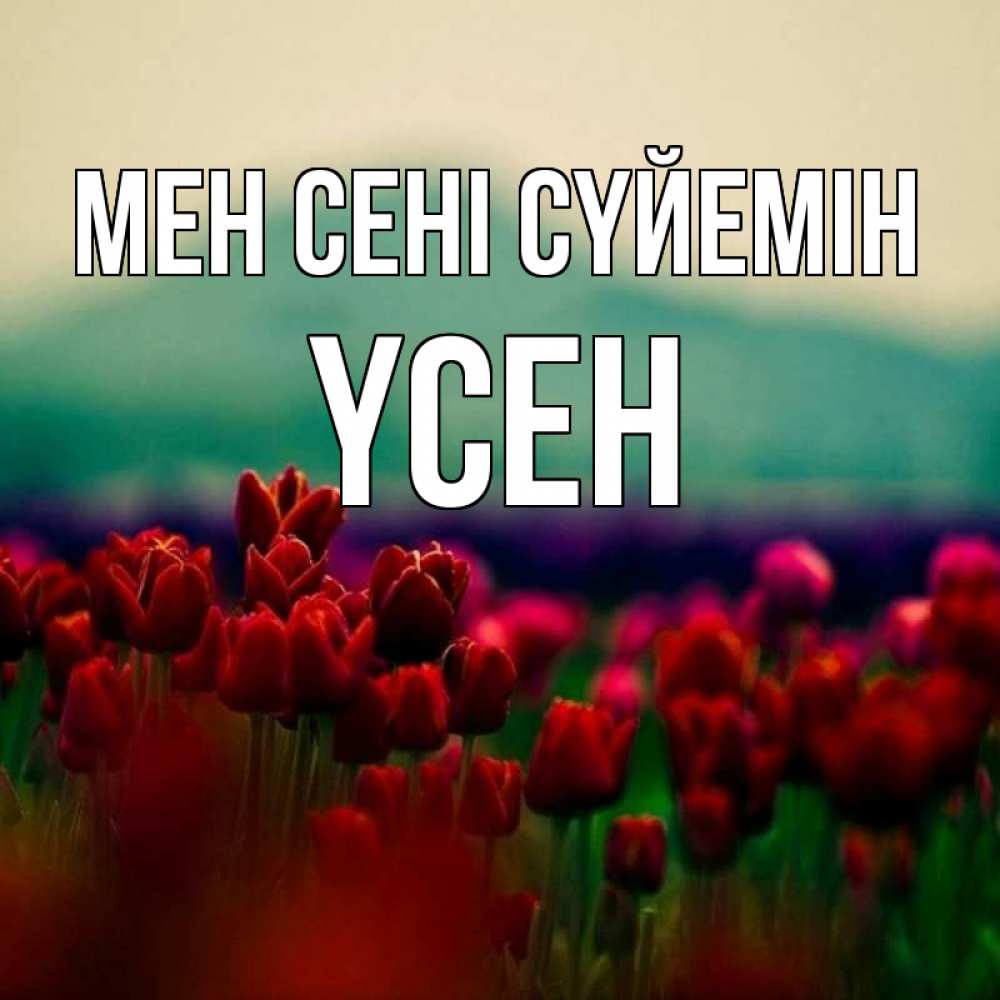 Күн сайын ашық хат с именем, ҮСЕН Мен сені сүйемін тюльпаны 4 Онлайн тегін жүктеп алу тілектері бар керемет карта 