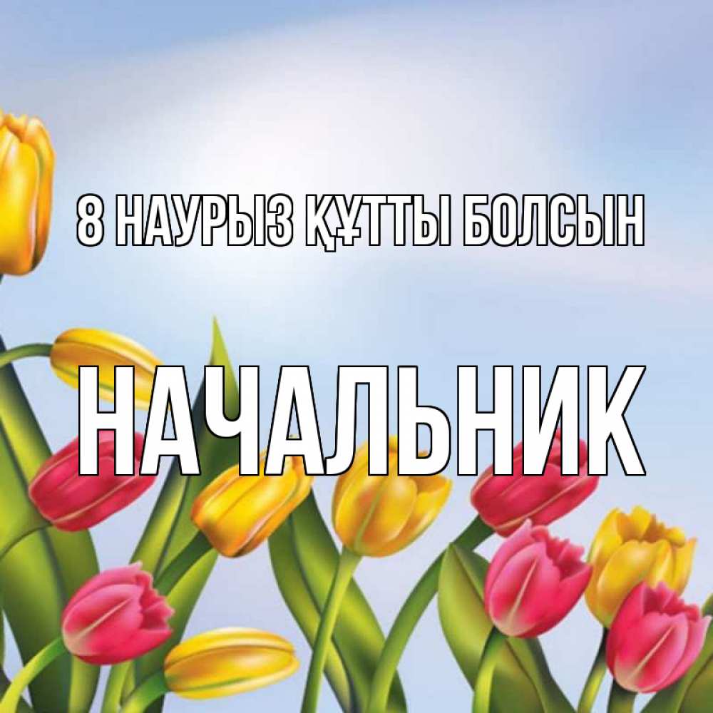 Күн сайын ашық хат с именем, Начальник 8 наурыз құтты болсын международный женский день Онлайн тегін жүктеп алу тілектері бар керемет карта 