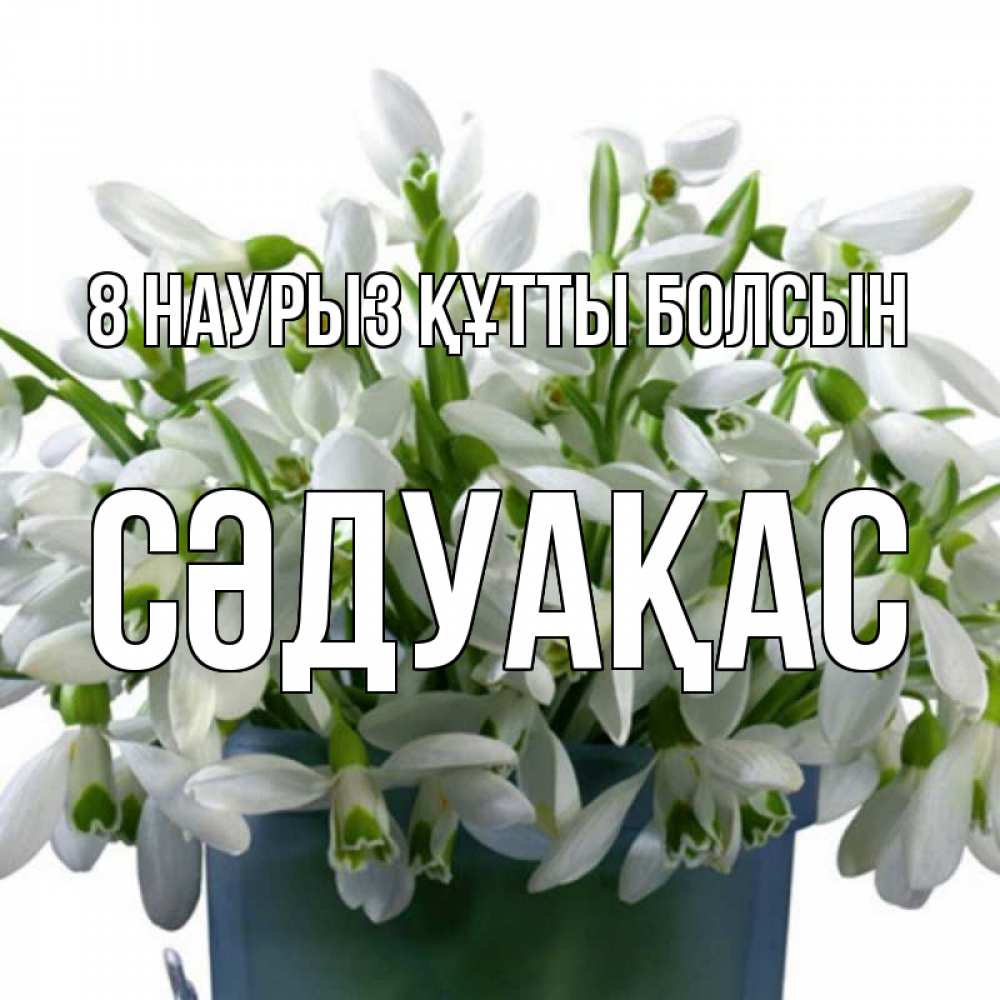 Күн сайын ашық хат с именем, СӘДУАҚАС 8 наурыз құтты болсын цветы к международному женскому дню Онлайн тегін жүктеп алу тілектері бар керемет карта 