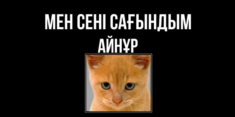 Күн сайын ашық хат с именем, АЙНҰР Мен сені сағындым открытки рыжий котенок скучает по тебе Онлайн тегін жүктеп алу тілектері бар керемет карта 