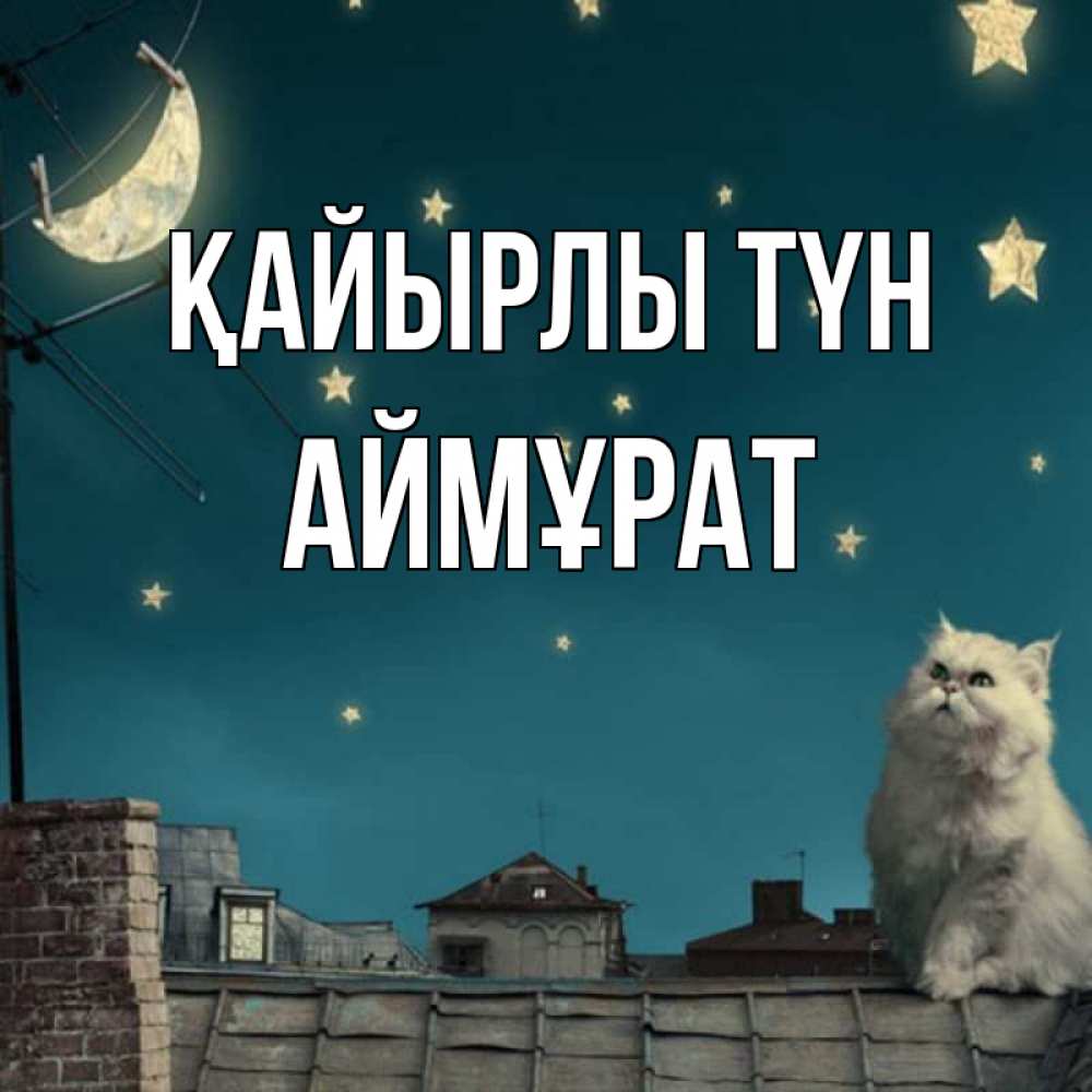Күн сайын ашық хат с именем, Аймұрат Қайырлы түн белый кот сидит на крыше Онлайн тегін жүктеп алу тілектері бар керемет карта 