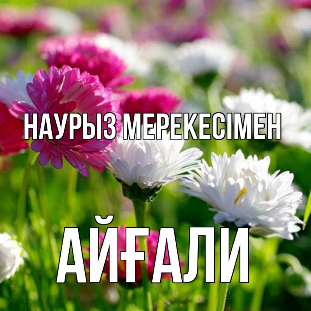 Күн сайын ашық хат с именем, Айғали Наурыз мерекесімен праздник весны наурыз красота Онлайн тегін жүктеп алу тілектері бар керемет карта 