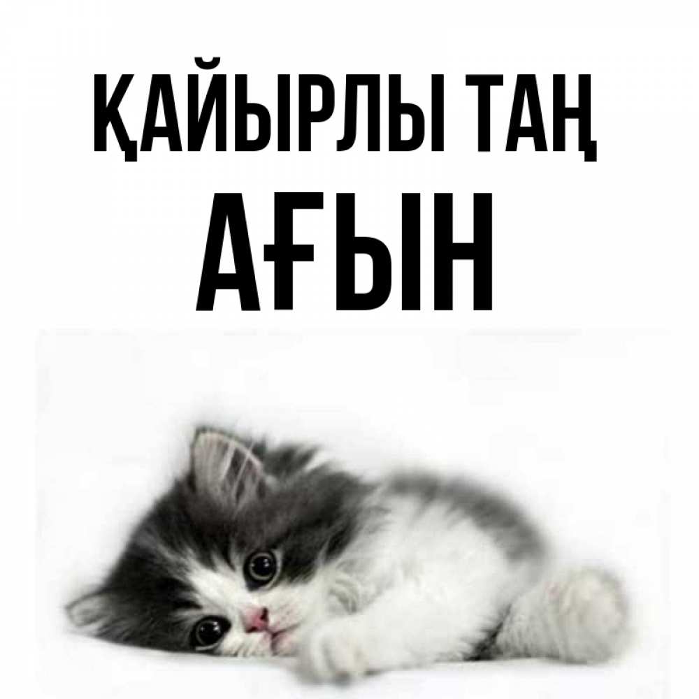 Күн сайын ашық хат с именем, Ағын Қайырлы таң кот лапки Онлайн тегін жүктеп алу тілектері бар керемет карта 