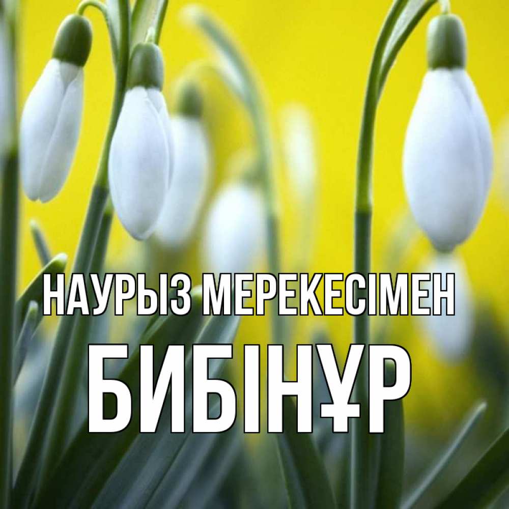 Күн сайын ашық хат с именем, БИБІНҰР Наурыз мерекесімен весенние цветы Онлайн тегін жүктеп алу тілектері бар керемет карта 